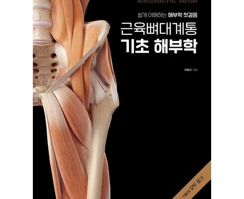 TOP 8 근골격해부학 추천 구매가이드 2024년